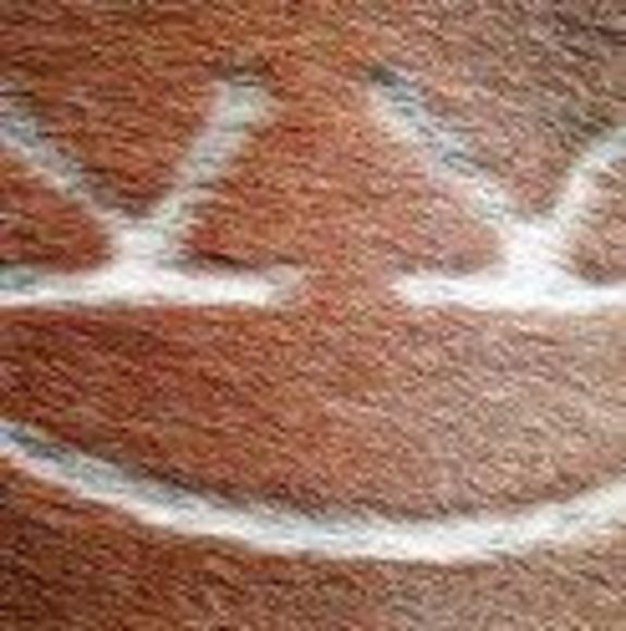 Meet your Posher, Edyna - Picture 1 of 1